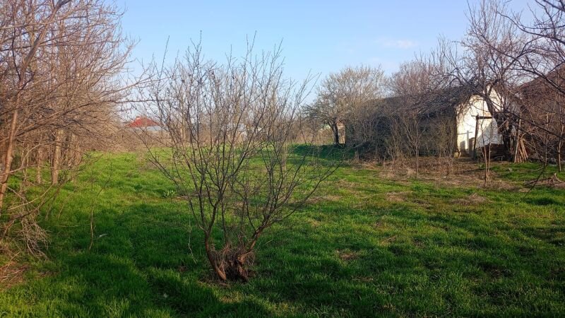 Comuna Zavoaia, judetul Braila